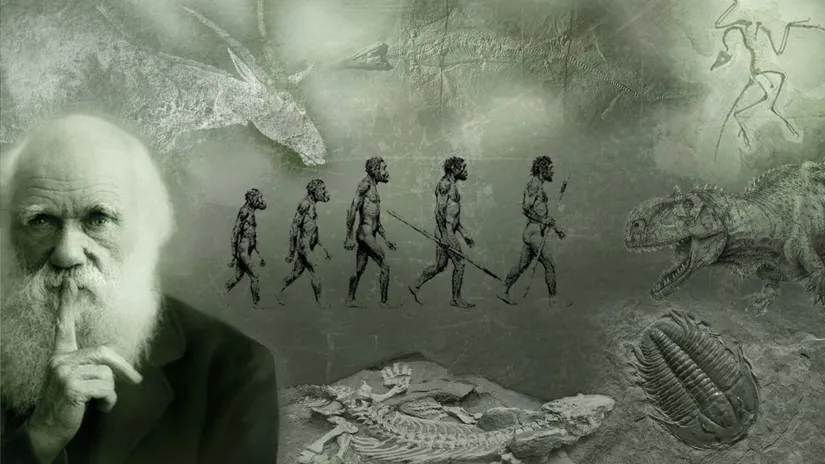 İNSANA DAİR (Darwin ve Michelangelo)
